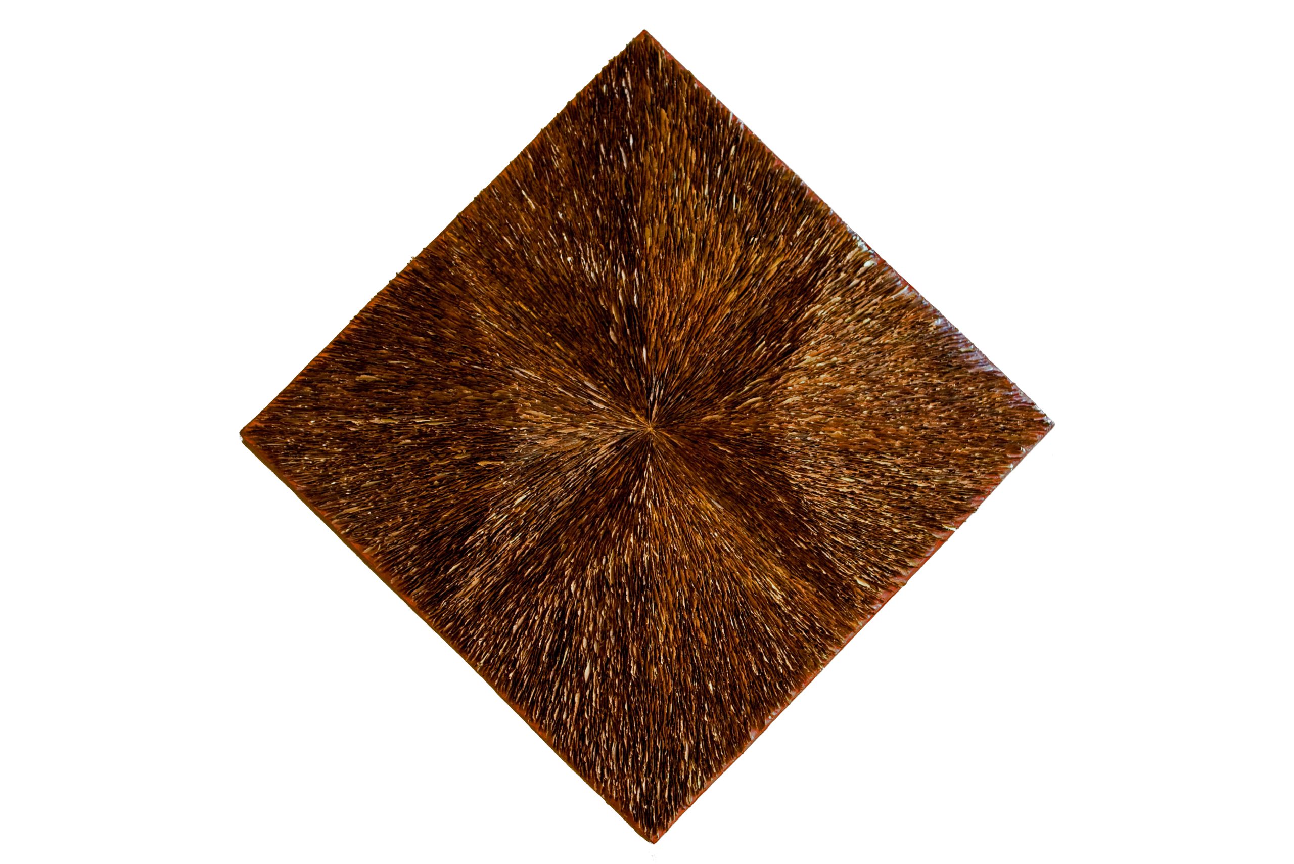 Carre-Vanishing-Point-maple-seeds-Amber-Bijl-2008-142-x-142-m-1-scaled.jpg