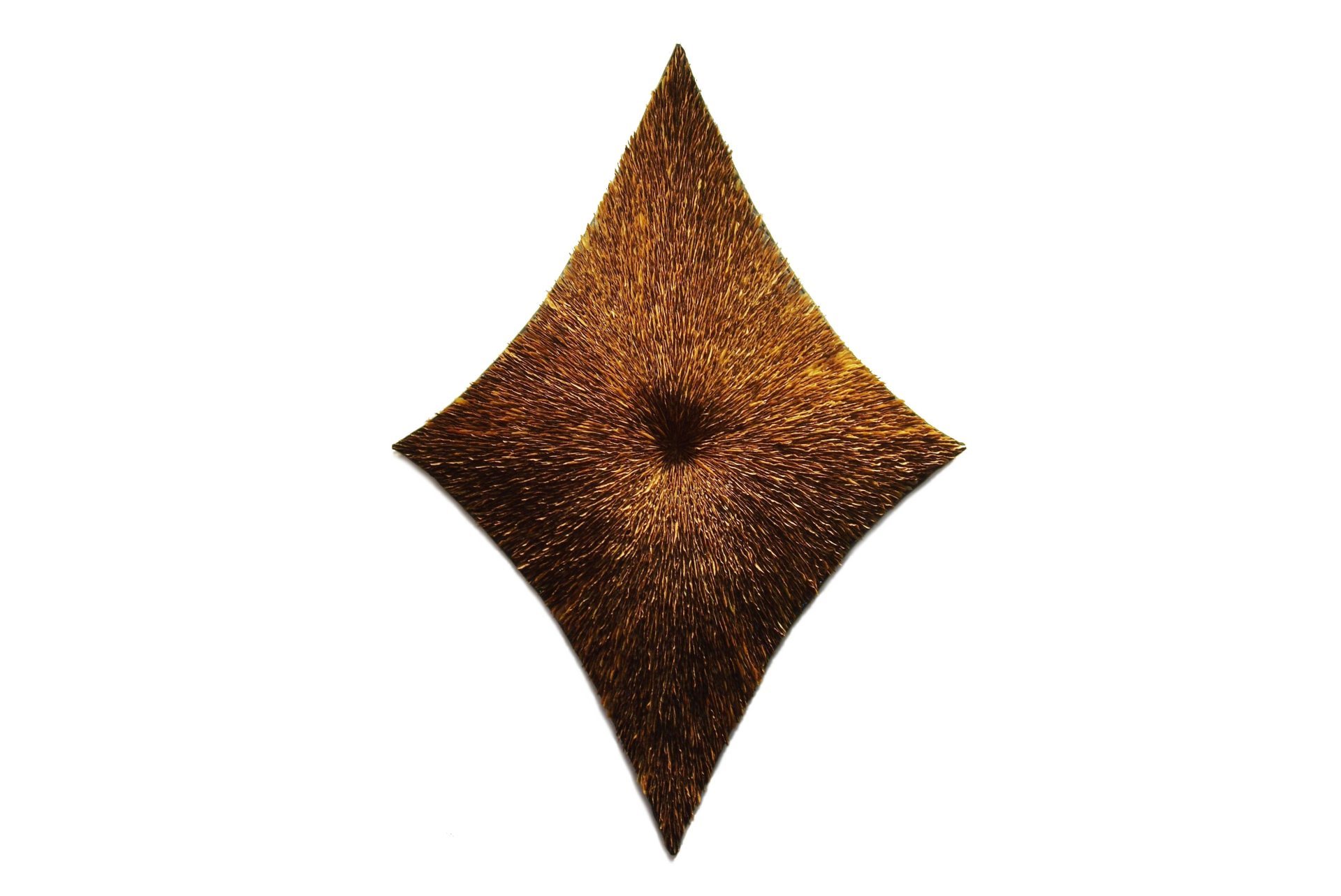 Diamond-maple-seeds-Amber-Bijl-2010-±-122-x-85-x-18-cm-1.jpg