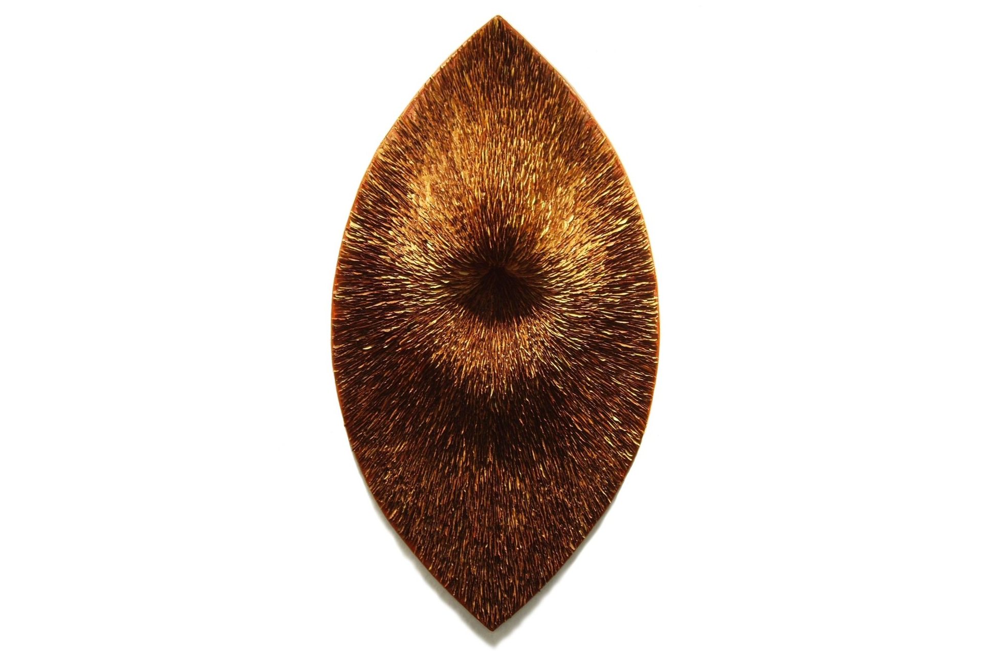 Feminine-maple-seeds-Amber-Bijl-2010-±-122-x-85-x-22-cm-1.jpg