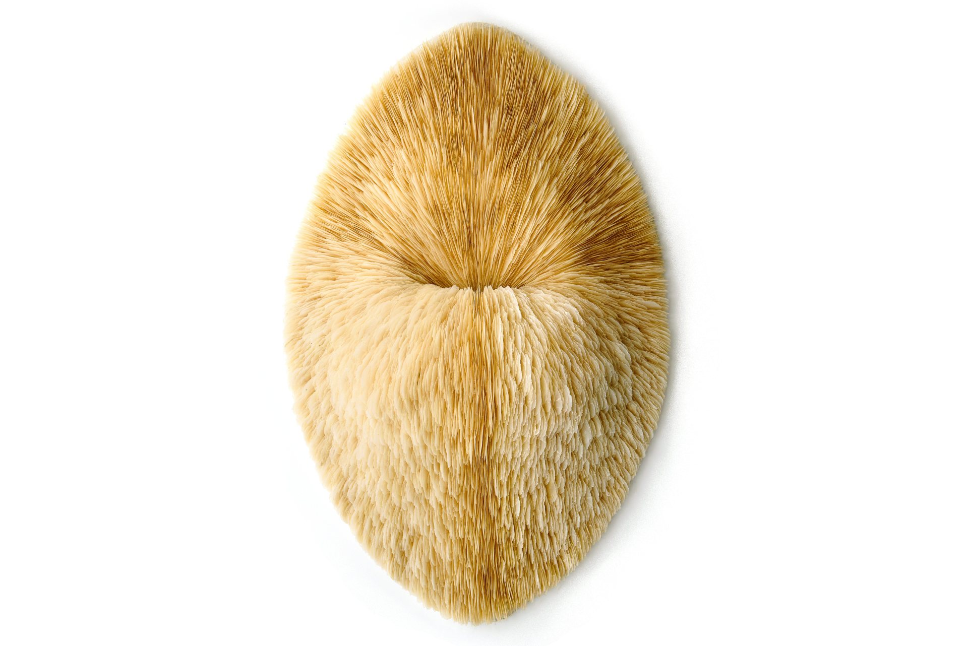 Femininity-capiz-shells-Amber-Bijl-2017-±-145-x-95-cm-1.jpg