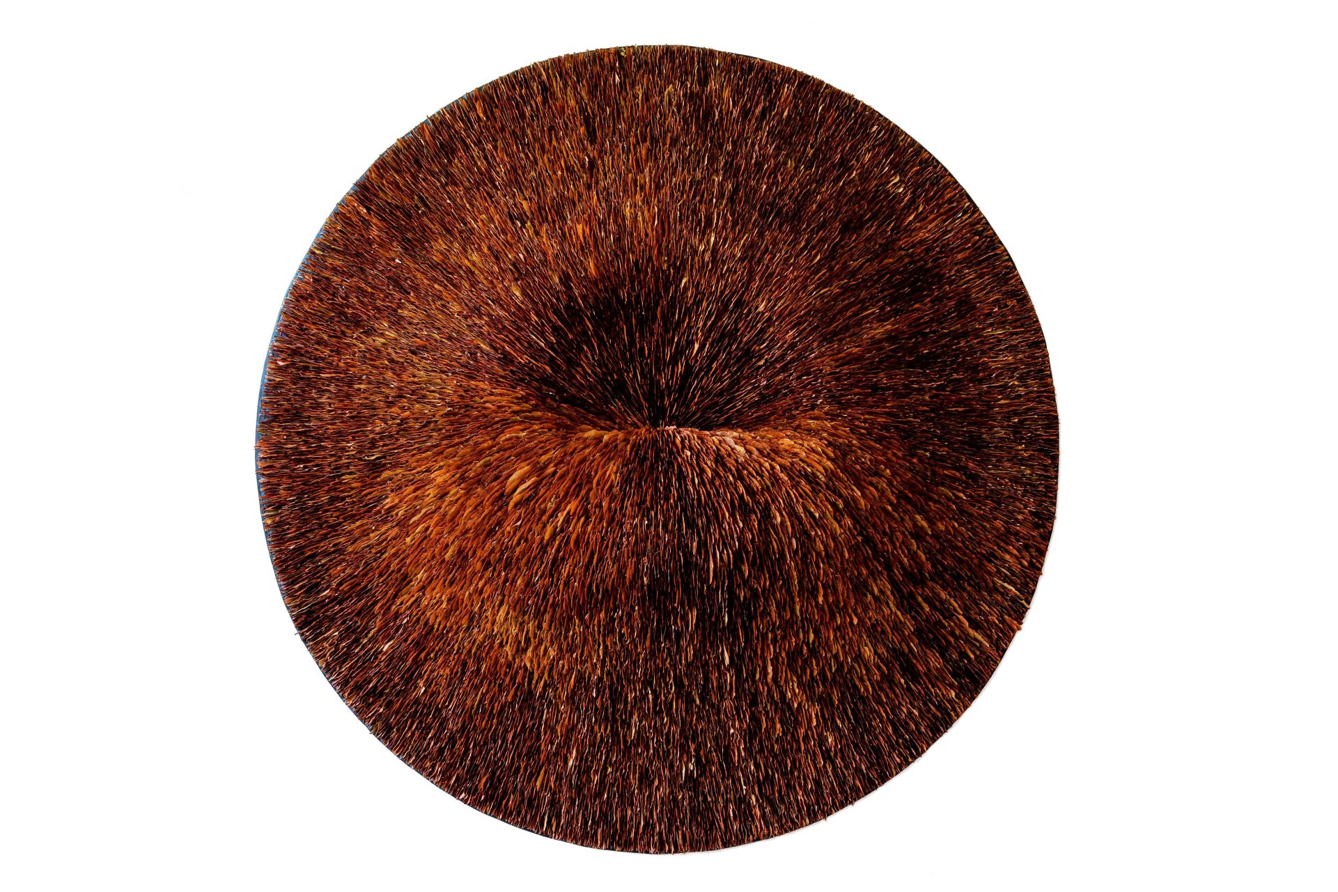 Inside-Out-maple-seeds-Amber-Bijl-2014-o-±-122-cm.jpg