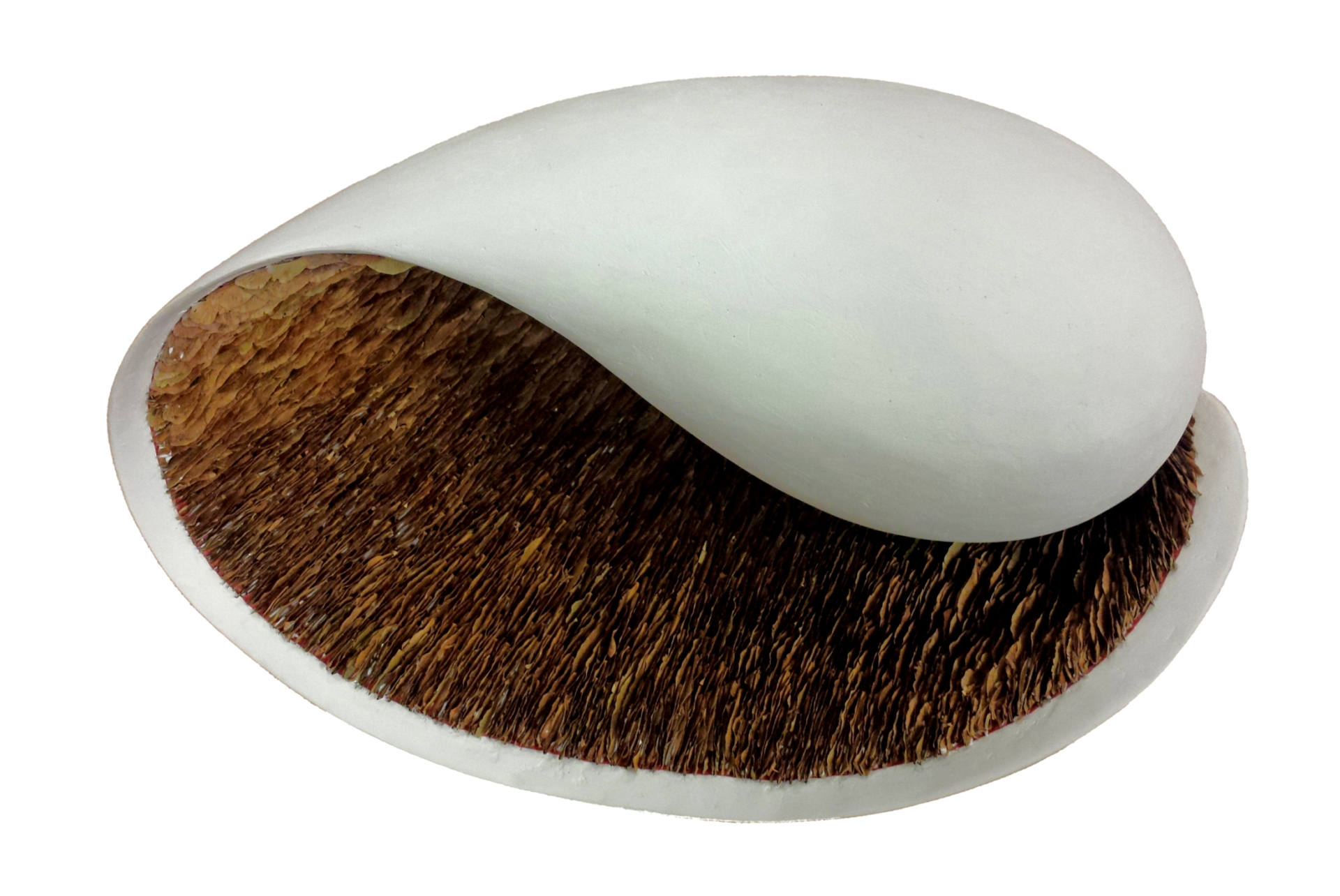 Melo-Fertility-maple-seeds-epoxy-Amber-Bijl-2015-±-55-x-34-x-235-cm-1.jpg