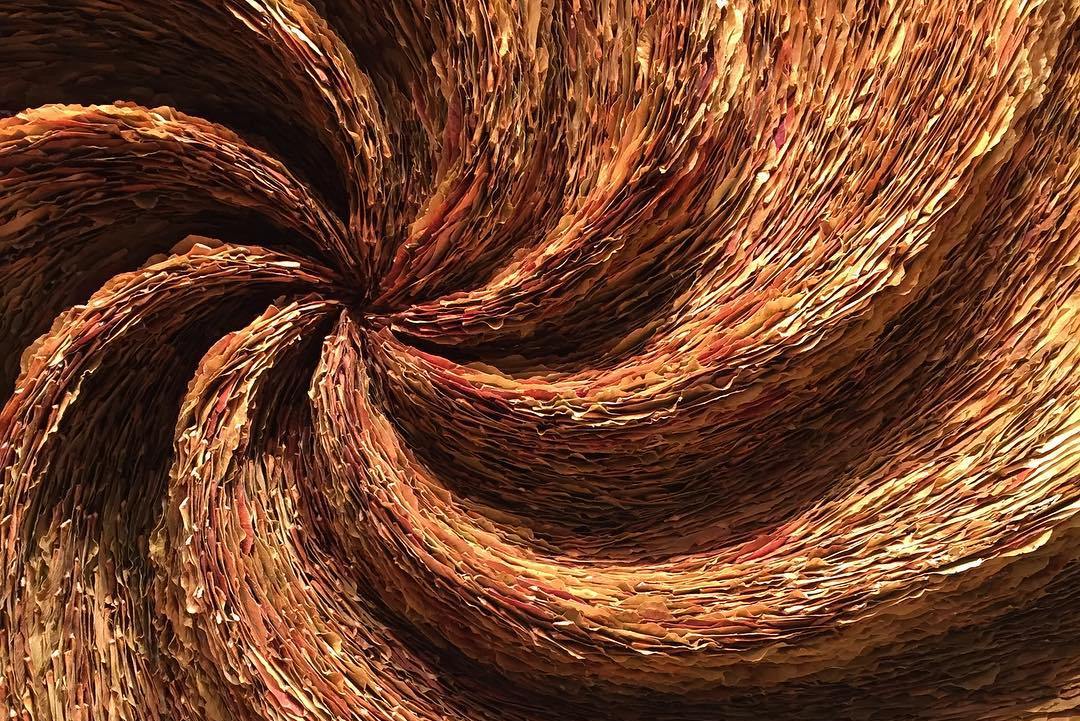 Spiral-detail-Vanishing-Point-maple-seeds-Amber-Bijl-2017-o-±-122-cm-San-Francisco-Art-Antiques-Show-2017-Gallery-Patrick-et-Ondine-Mestdagh-1.jpg