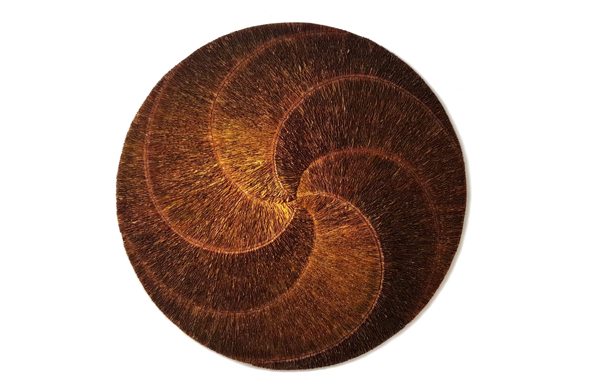 Vortex-Vanishing-Point-maple-seeds-Amber-Bijl-2018-o-±-122-cm-1.jpg